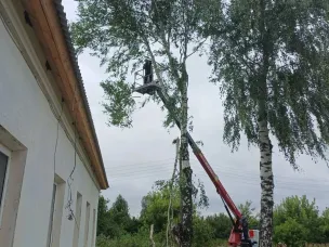 Спиливание опасных деревьев
