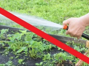 Информация по использованию воды в жаркую погоду