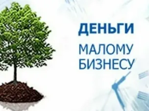 Целевой льготный займ для субъектов малого и среднего предпринимательства