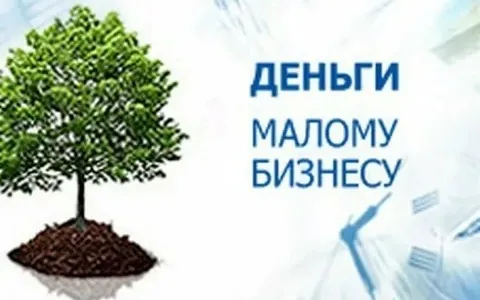 Целевой льготный займ для субъектов малого и среднего предпринимательства