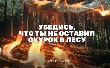 Убедись, что ты не оставил окурок в лесу