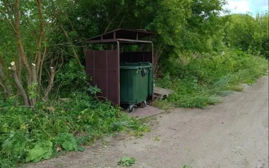 Поддержание чистоты на контейнерных площадках.
