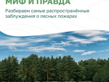 Миф и Правда