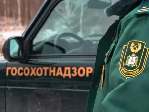 Более 30 нарушений в сфере охоты выявлено в Нижегородской области с начала года