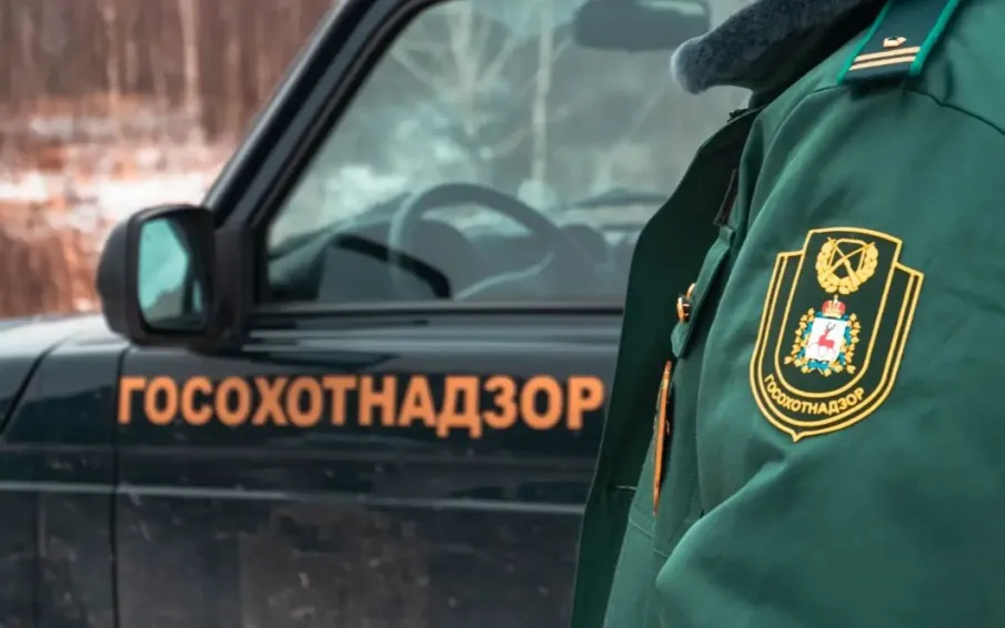 Более 30 нарушений в сфере охоты выявлено в Нижегородской области с начала года