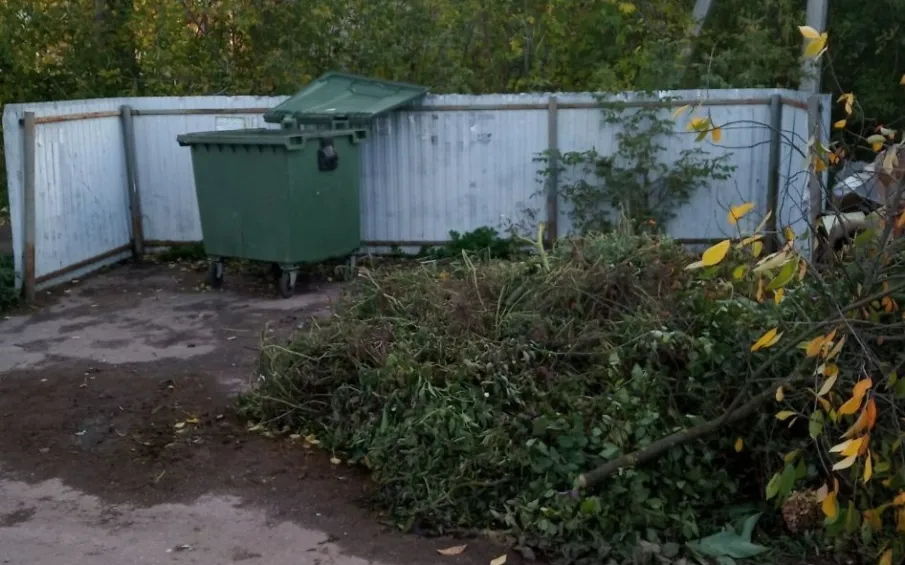 Вопросы сбора, размещения и вывоза  твердых коммунальных отходов