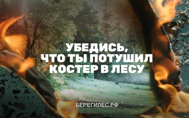 Убедись, что ты потушил костер в лесу