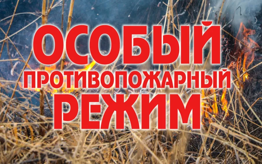 О введении особо противопожарного периода 2026