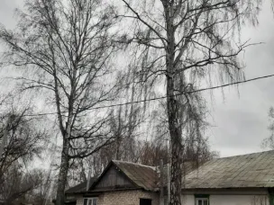 Спил аварийных деревьев