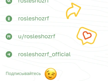 Правила о пожарной безопасности в лесах