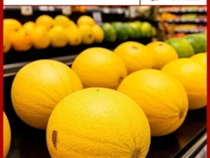 Правила выбора и покупки дыни