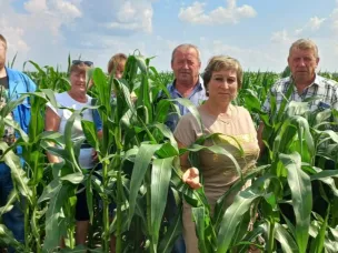 ПЕРЕД НАЧАЛОМ ЖАТВЫ