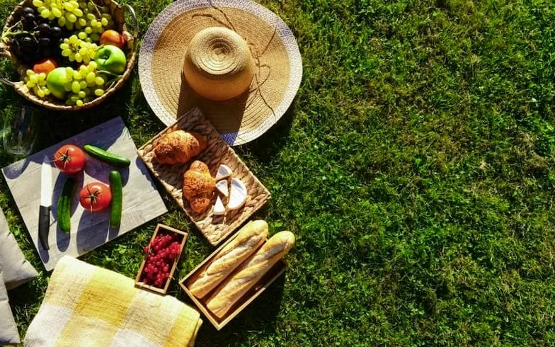 Лето без отравлений: как безопасно хранить и готовить продукты