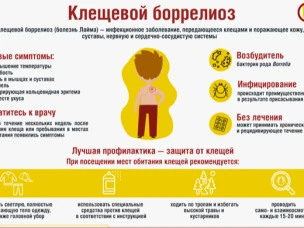 Что такое клещевой боррелиоз