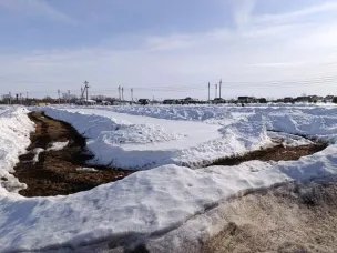 Снегозадержание на ул. Просвещения