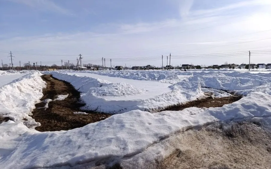 Снегозадержание на ул. Просвещения