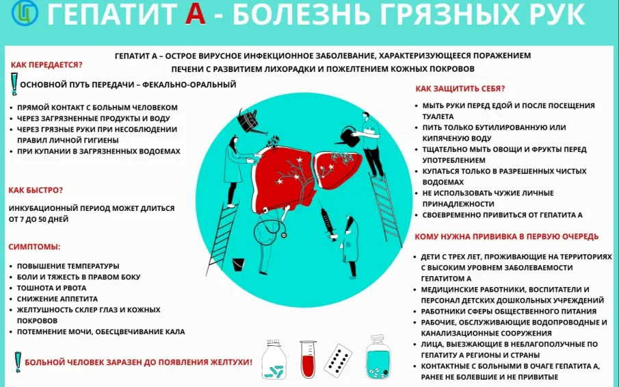 ГЕПАТИТ А - БОЛЕЗНЬ ГРЯЗНЫХ РУК