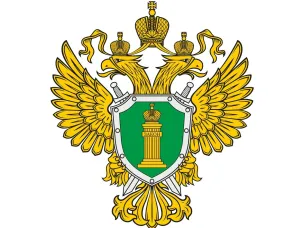 Приволжская транспортная прокуратура разъясняет: изменены суммы крупного и особо крупного размера неуплаченных таможенных платежей для целей статьи 194 УК РФ