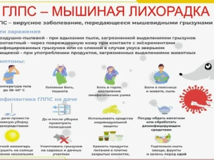 ГЛПС.Острое вирусное инфекционное заболевание
