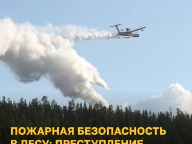 Правила о пожарной безопасности в лесах