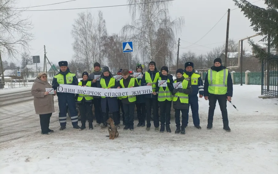 В Вадском районе сотрудники ГАИ призвали родителей не забывать о ремнях безопасности