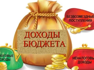 Оперативные данные об исполнении бюджета Вадского муниципального округа Нижегородской области за 2025 год