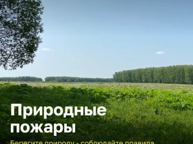 Природные пожары