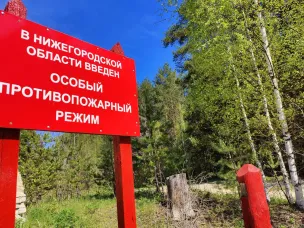 Минлесхоз напоминает нижегородцам о соблюдении правил пожарной безопасности в лесах в преддверии выходных
