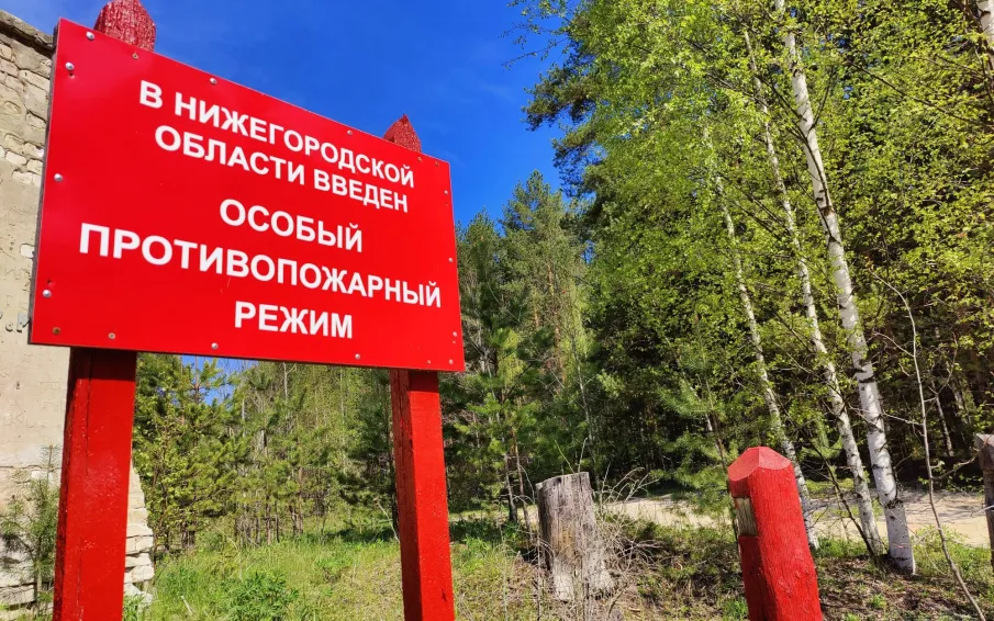 Минлесхоз напоминает нижегородцам о соблюдении правил пожарной безопасности в лесах в преддверии выходных