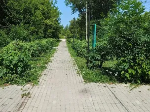 Благоустройство территории вдоль тратуаров