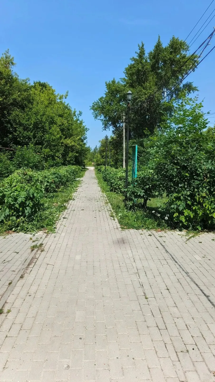 Благоустройство территории вдоль тратуаров