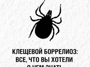 Клещевой боррелиоз: все, что вы хотели о нем знать