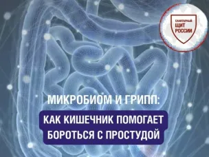 Как кишечник помогает бороться с простудой