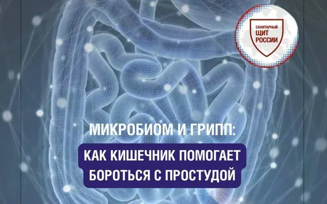 Как кишечник помогает бороться с простудой