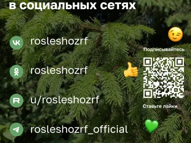 Природные пожары