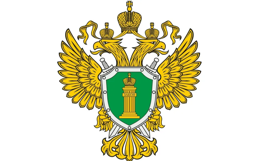 Меры социальной поддержки для детей-сирот и детей, оставшихся без попечения родителей.