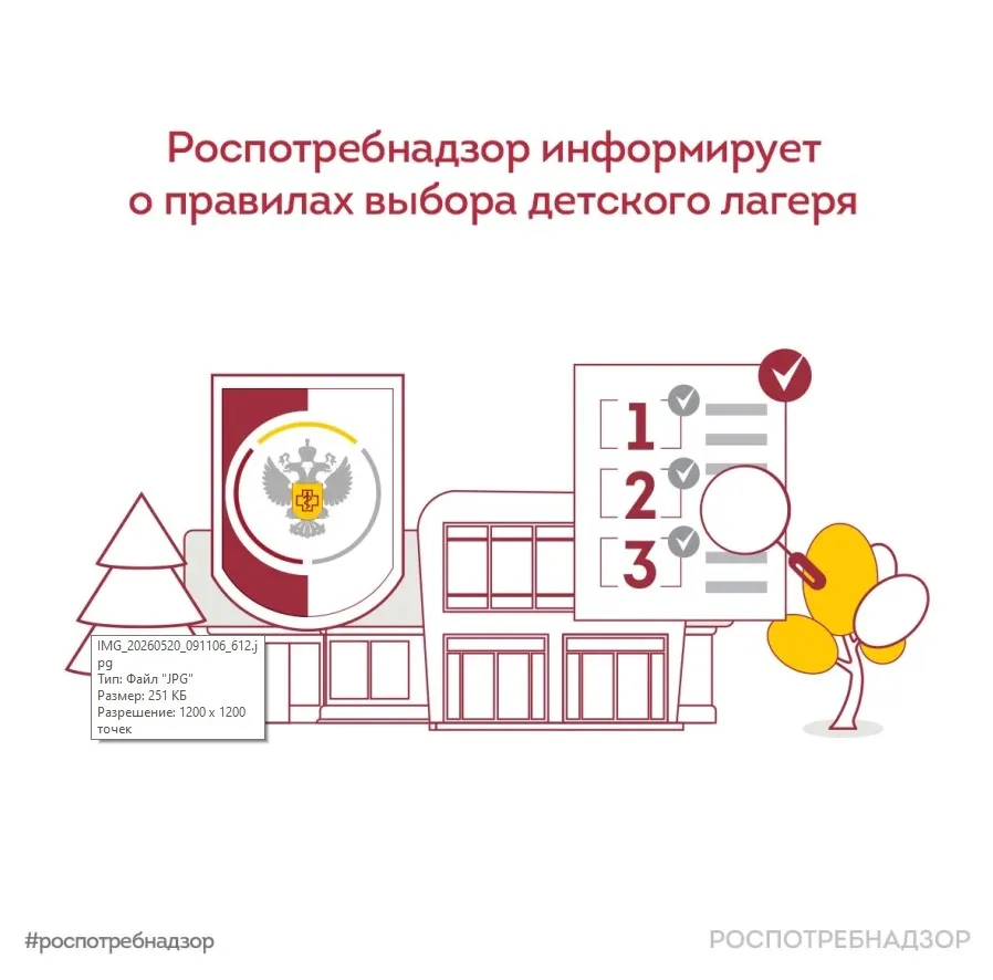 Правила выбора детского лагеря