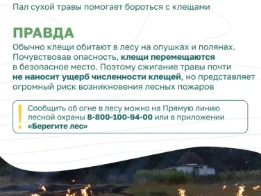 Миф и Правда