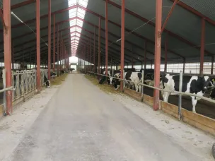 Начался зимне-стойловый период