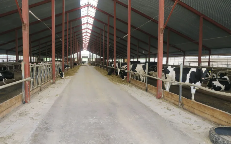 Начался зимне-стойловый период