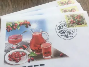 В Нижнем Новгороде можно приобрести почтовую продукцию новой серии «Флора России»