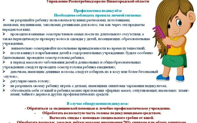 Роспотребнадзор перед учебным годом напоминает родителям о мерах профилактики педикулеза