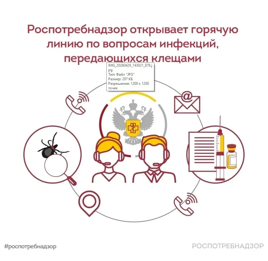 Всероссийская горячая линия по вопросам профилактики клещевого вирусного энцефалита