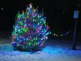 С наступающим Новым Годом!