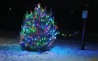 С наступающим Новым Годом!