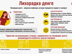 Лихорадка Денге