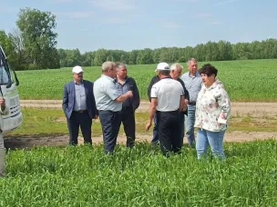 НЕ ПОДВЕЛА БЫ ПОГОДКА…