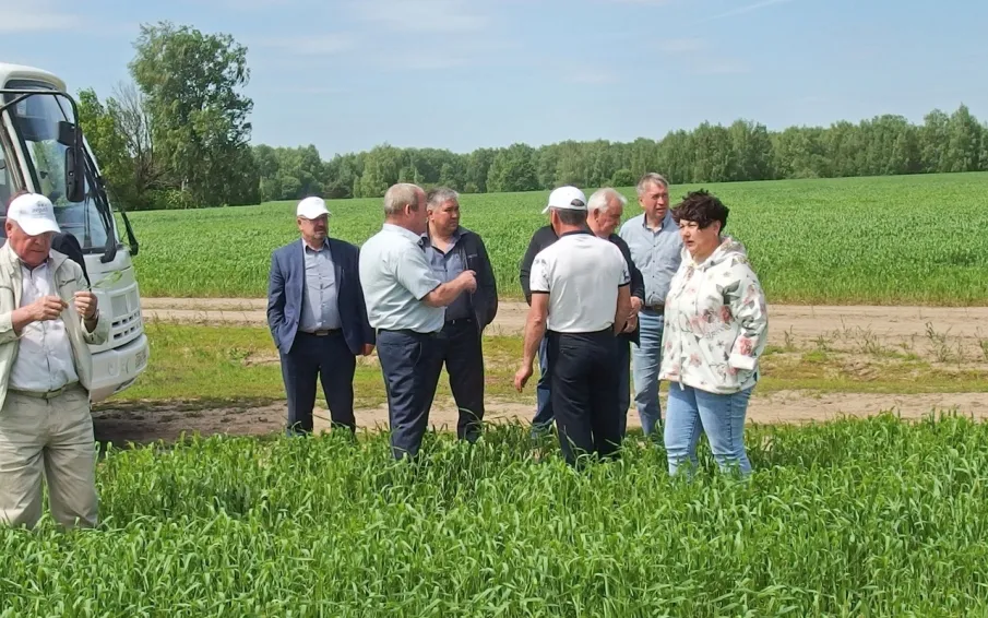 НЕ ПОДВЕЛА БЫ ПОГОДКА…