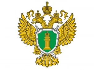 Что делать при задержке выплаты зарплаты