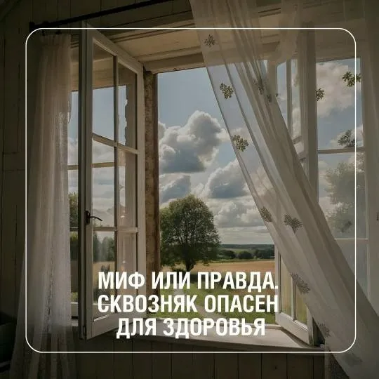 Миф или правда